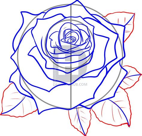 How To Draw A Realistic Rose Draw Real Rose By Darkonator Drawinghub