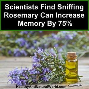 Scientists Find Sniffing Rosemary Can Increase Memory By
