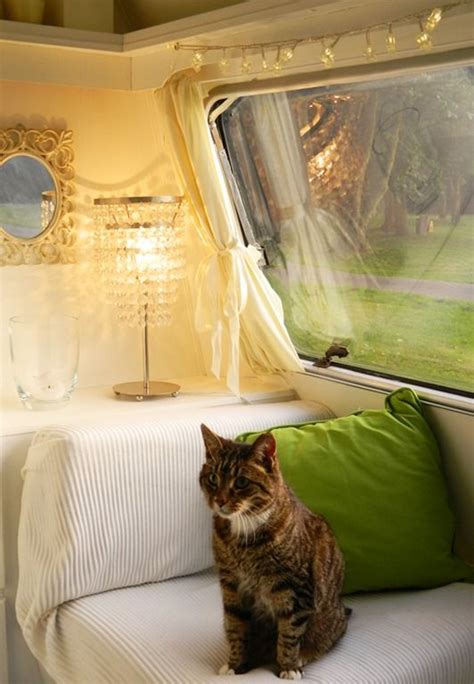 See our tips on how to make it happen, plus the best dog proof litter box recommendations! 1000+ images about Traveling with Cats in RV Caravan on Pinterest | Gypsy caravan, Pets and Window