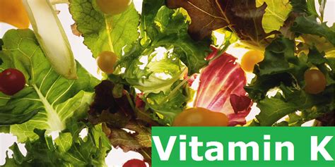 Oleh karena itu, anda perlu mengenal nama vitamin penambah nafsu makan untuk vitamin b2 disebut dengan riboflavin yang dapat membantu tubuh untuk mengolah makanan menjadi sumber energi serta melindungi sel dari. Pentingnya Vitamin K Untuk Kecantikan dan Kesehatan Wanita ...