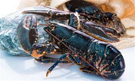 Terms of service privacy policy cookie policy copyright notice© yandex. Rech By Alain Ducasse Presents Brittany Blue Lobster Menu ...