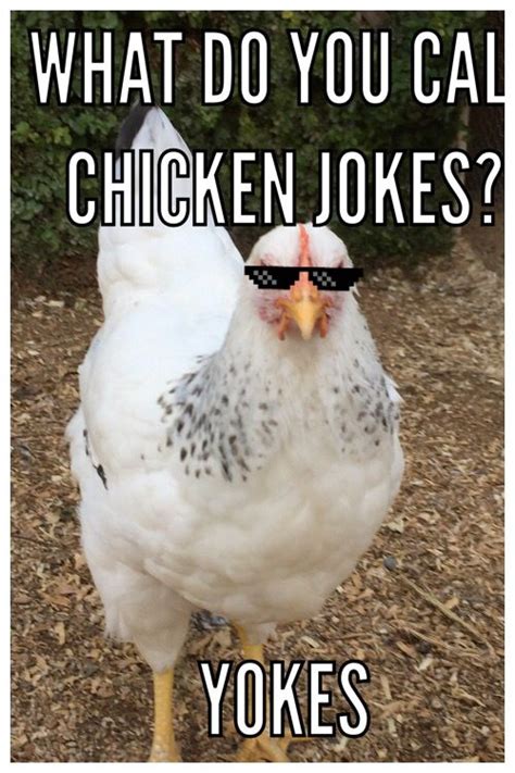 Chicken Jokesyokes Chicken Jokes Cute Jokes Comedians Jokes