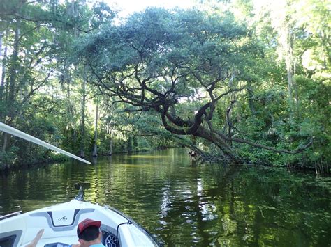 Information deemed reliable, not guaranteed. Harris Chain of Lakes - Mount Dora Boating Center & Marina ...