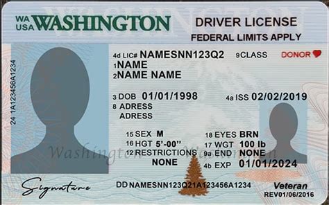 Washington Driver License Psd Template New Fake Docs