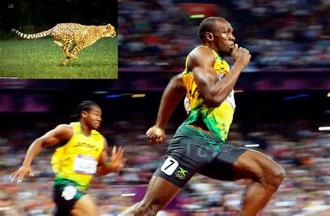 Usain Bolt A Sprint Marvel Afroautos