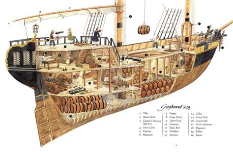 Parts Of A Pirate Ship Diagram For Kids Pirate Diary The Journal Of