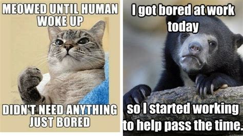 25 Bored Memes That Are So Boring They Actually Stop Time Bored At