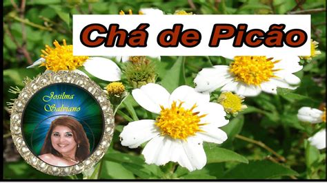 Chá De Espinho Cheiroso