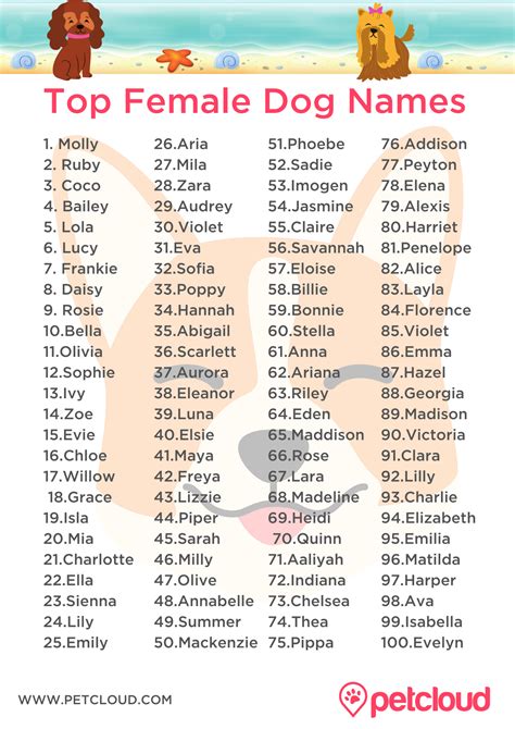 Top Female Dog Names 2024 Wilie Julianna