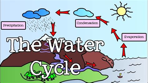 All About The Water Cycle For Kids Introduction To The Water Cycle For