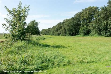 Discover the best of oudemirdum so you can plan your trip right. Groene Wissel Oudemirdum 1