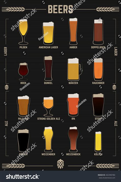 Poster Beer Types Beers Guide Illustration Stock Vector Royalty Free
