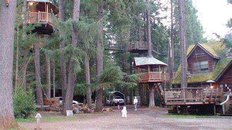 View photos, maps, and details of 7001 takilma road, cave junction, oregon, and contact seller on landsofamerica.com. Tree House Resort, Cave Junction Oregon | Tree house ...