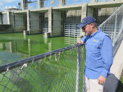 Figure Out How To Cheaply Fix Algae Blooms And Win $10 ...