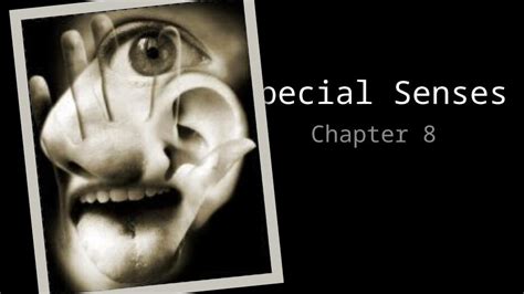 Pptx Special Senses Chapter 8 Special Senses Smell Taste Sight