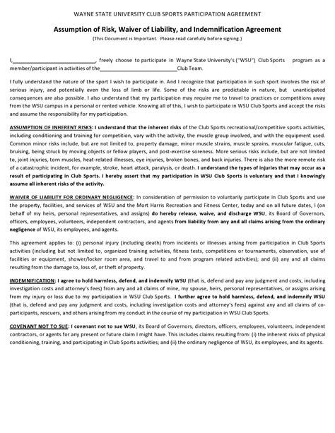 Free Indemnity Agreement Template