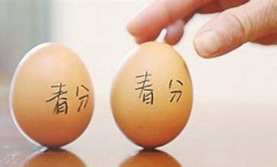 The site owner hides the web page description. 春分习俗立蛋的来历 - 作文大全 - 蓝灵育儿网