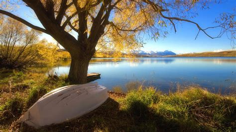 River And Tree Under Sunset Hd Wallpaper Wallpaper Flare