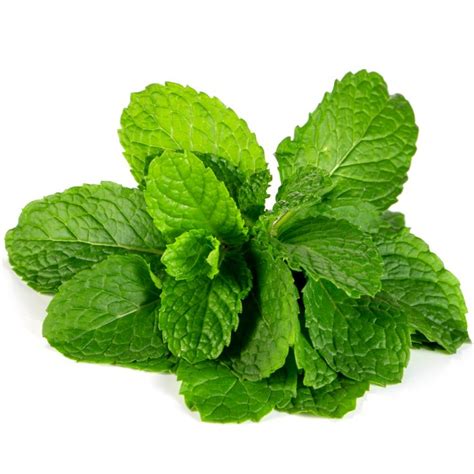 Mint – 80g – FreshPoint Local