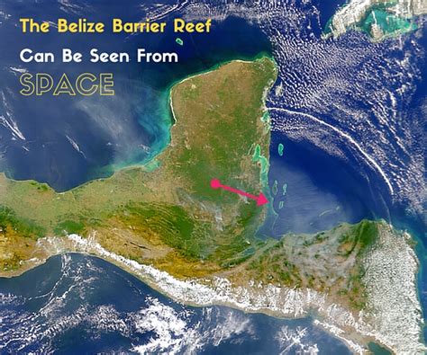 As the largest and most intact reef system within the northern hemisphere, the belize barrier reef system comprises seven (7) key marine reserve zones, over four hundred cayes (islands) and three. 6 Belize Barrier Reef Facts Every Scuba Diver Should Know ...