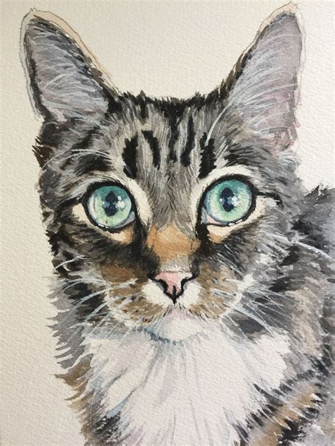 Gray Tabby Cat Watercolor Painting By Sherry Daerr Watercolor Cat