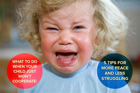 What To Do When Your Child Just Wont Cooperate 5 Tips For More Peace