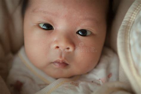 Cute Baby With Wide Open Eyes Stock Photo Image Of Open Longing