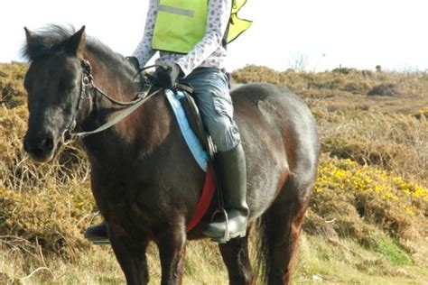 Horse Riding In Cornwall A Great Holiday Activity Tehidy Holiday Park
