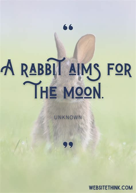 73 Cute And Cuddly Quotes About Rabbits 🥇 Images