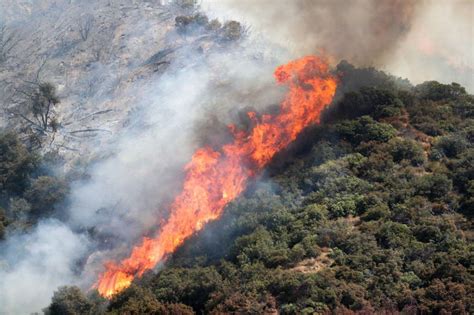 A Gender Reveal Sparked A Wildfire In California Thats Grown To 7000
