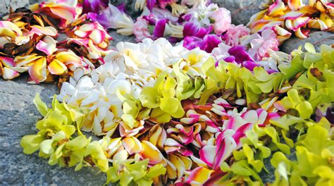 What Is Lei Day Heres Why Hawaiians Celebrate Each Year