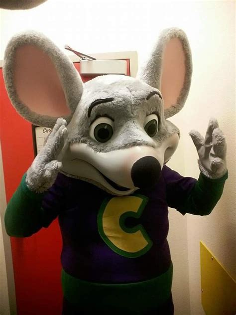 Artstation Chuck E Cheese Mascot Costume Images And Photos Finder