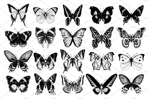 Butterflies Hand Drawn Collection Butterfly Sketch How To Draw Hands