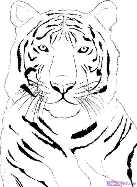 72 Dessins De Coloriage Tigre à Imprimer Sur Page 3