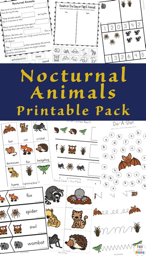 Nocturnal Animals For Kids Fun With Mama