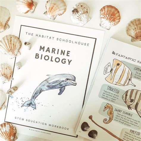 New Marine Biology Workbook Is Now Available This New Resource Will