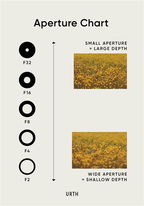 A Quick Guide To Aperture Examples And Photos Urth Magazine Aperture