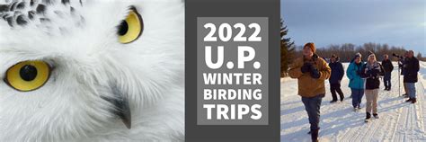 Winter Birding Tours Announced Michigan Audubon