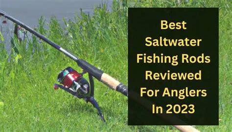 Best Saltwater Fishing Rods Reviewed For Anglers In 2023