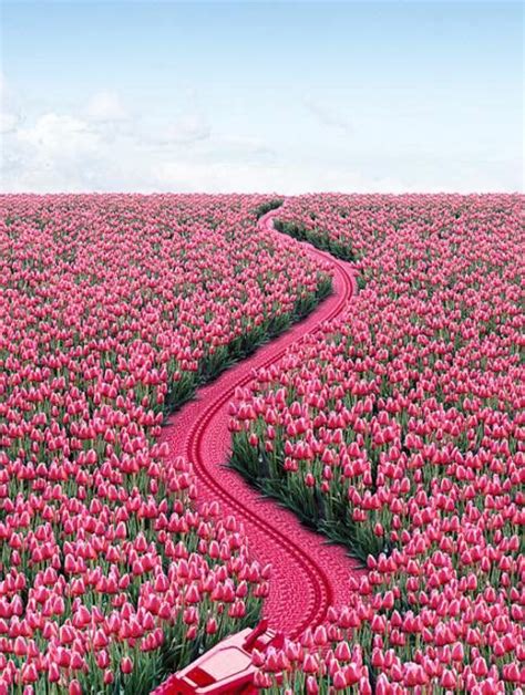 Pink Road How Fun Is That This Is A Work Of Pink Landscape Art