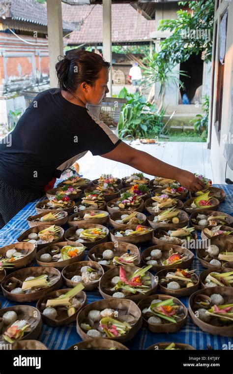 Bali Indonesia Balinese Hindu Woman Gathering Offerings Canangs To