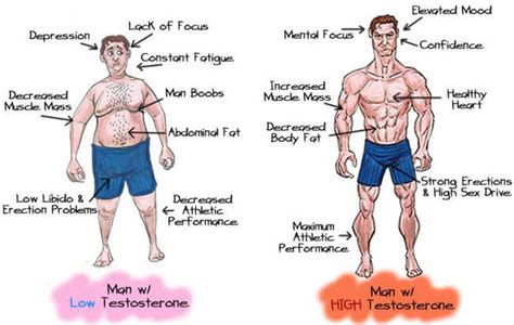 5 Benefits Of Naturally Boosting Your Testosterone