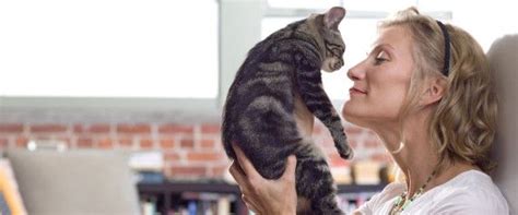 Heres How You Can Certify Your Cat As A Therapy Animal Therapy