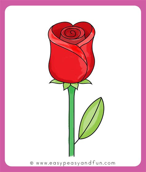 Blooming Rose Drawing Free Download On Clipartmag