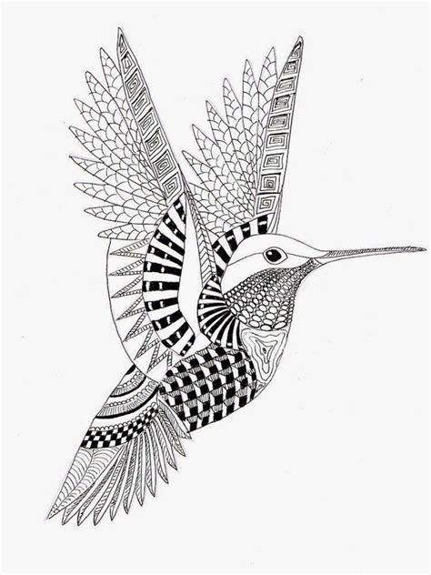 Hummingbird Coloring Pages ⋆ Coloringrocks Hummingbird Drawing