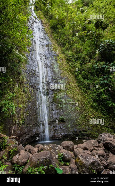 Manoa Falls Honolulu Oahu Hawaii Stock Photo Alamy