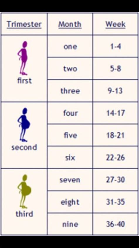 Weeks Months Pregnancy Chart Baby Pinterest Pregnancy Chart