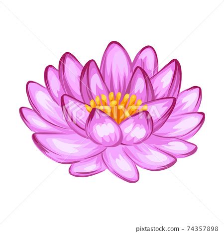 Illustration of lotus flower 插圖素材 74357898 PIXTA圖庫
