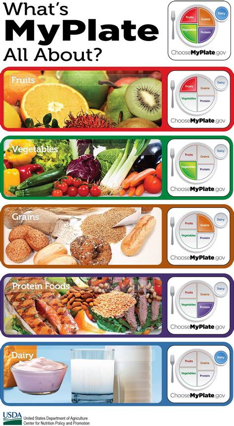 Though dairy foods have their own category, they are another source of. Food Groups - ChooseMyPlate.gov - USDA | Nutrition ...