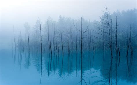 Wallpaper Sunlight Forest Water Reflection Sky Winter Branch